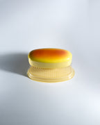 Large Japanese Cheesecake Souffle Squishy [JANE]