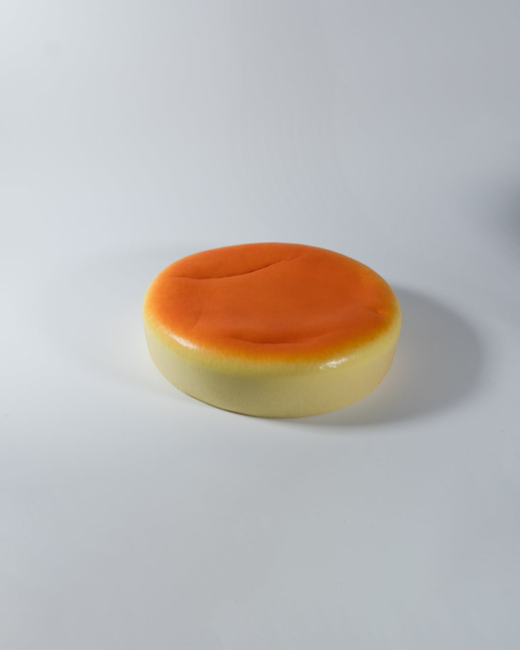 JUMBO Japanese Cheesecake Squishy [JANE]