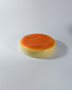 JUMBO Japanese Cheesecake Squishy [JANE]
