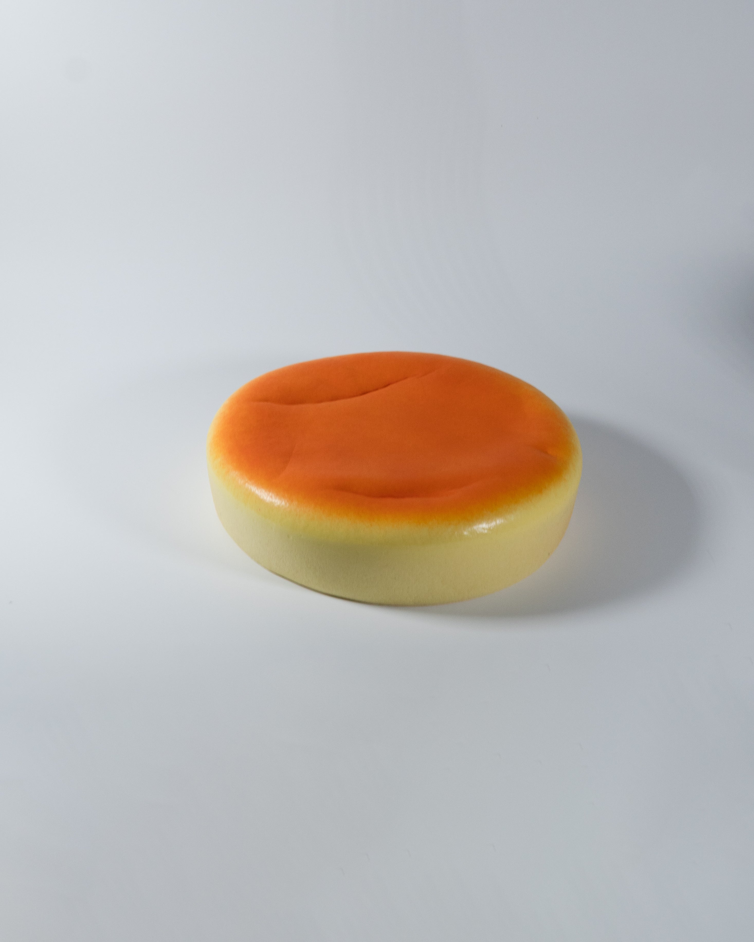 JUMBO Japanese Cheesecake Squishy [JANE]