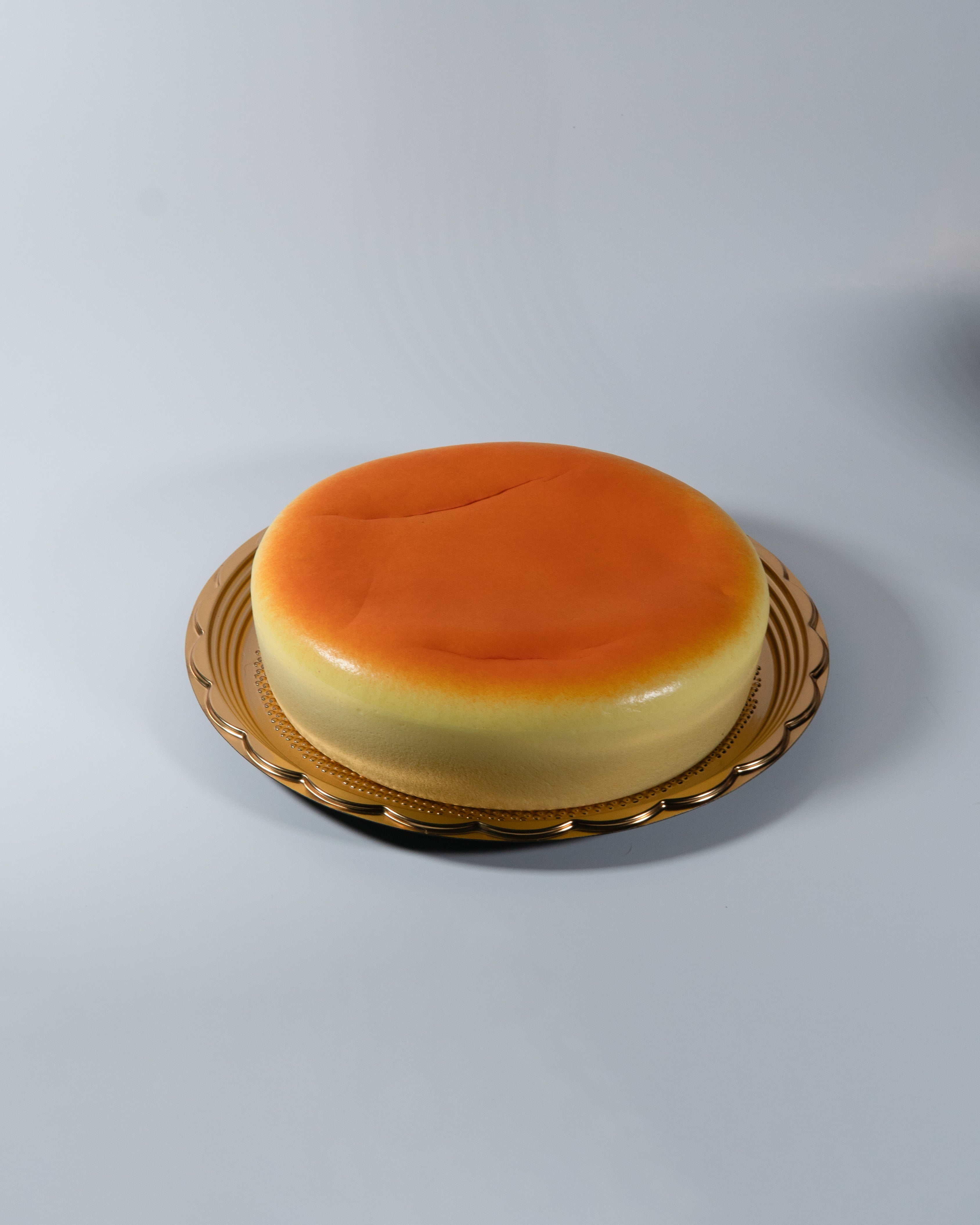 JUMBO Japanese Cheesecake Squishy [JANE]