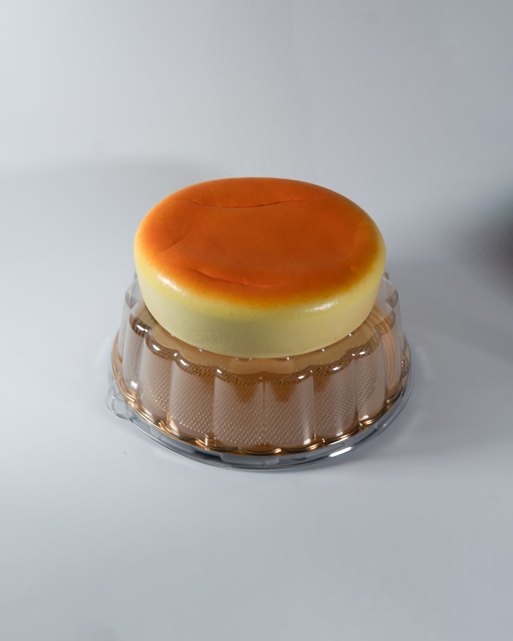 JUMBO Japanese Cheesecake Squishy [JANE]