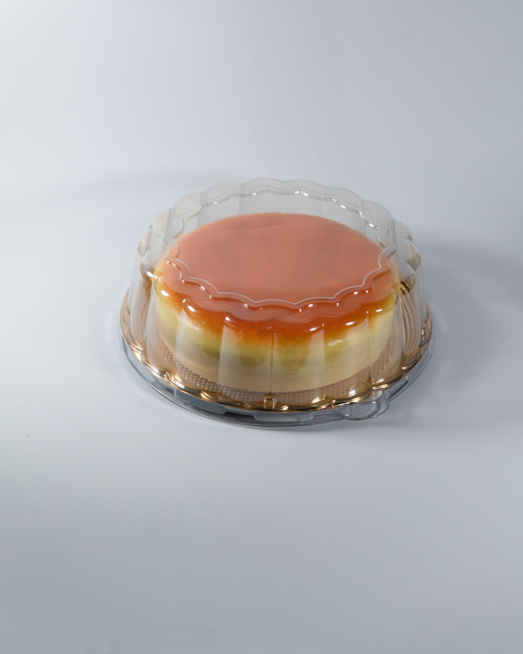 JUMBO Japanese Cheesecake Squishy [JANE]