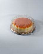 JUMBO Japanese Cheesecake Squishy [JANE]