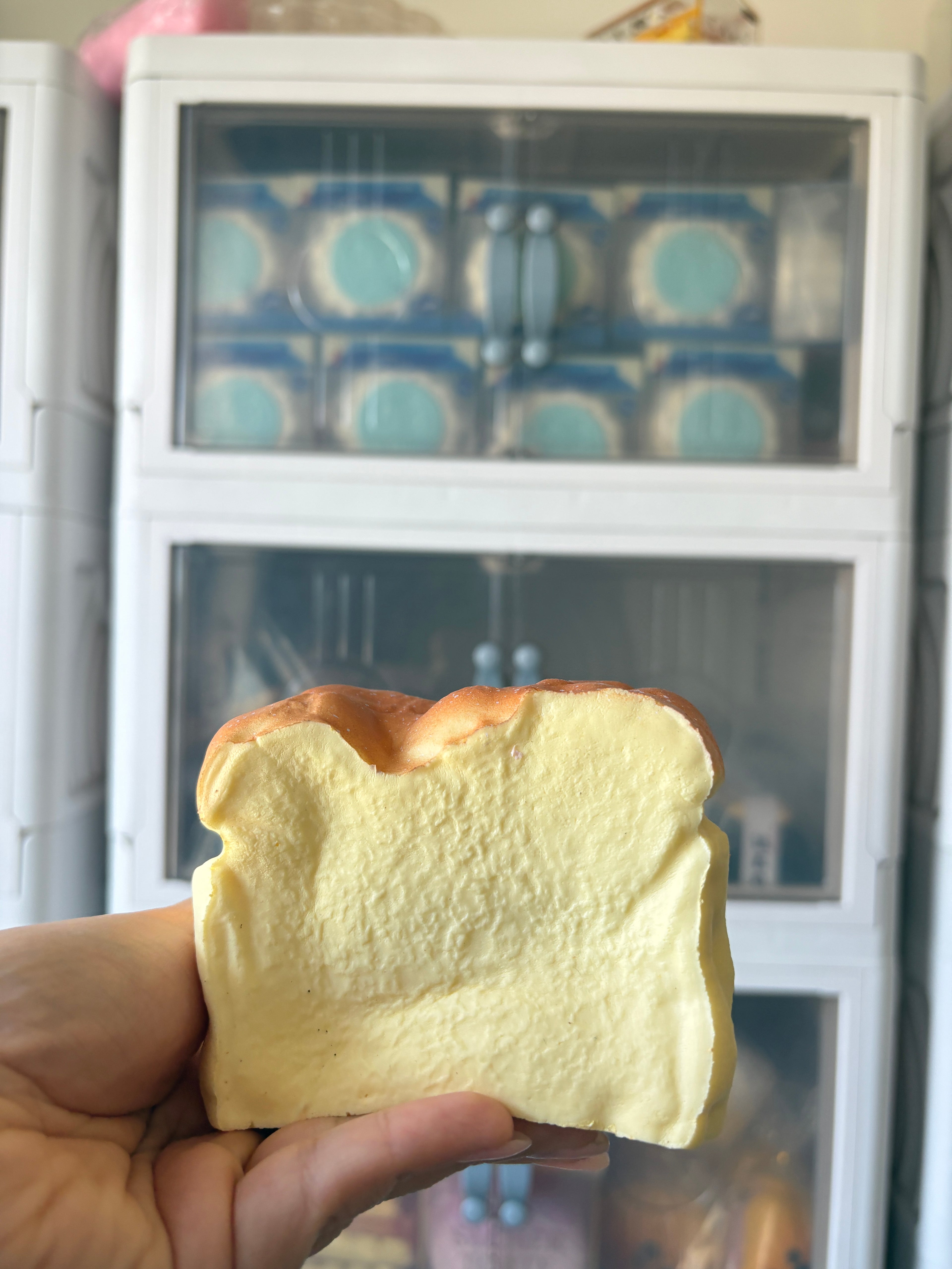Custard Cake Squishy [Hachimi]