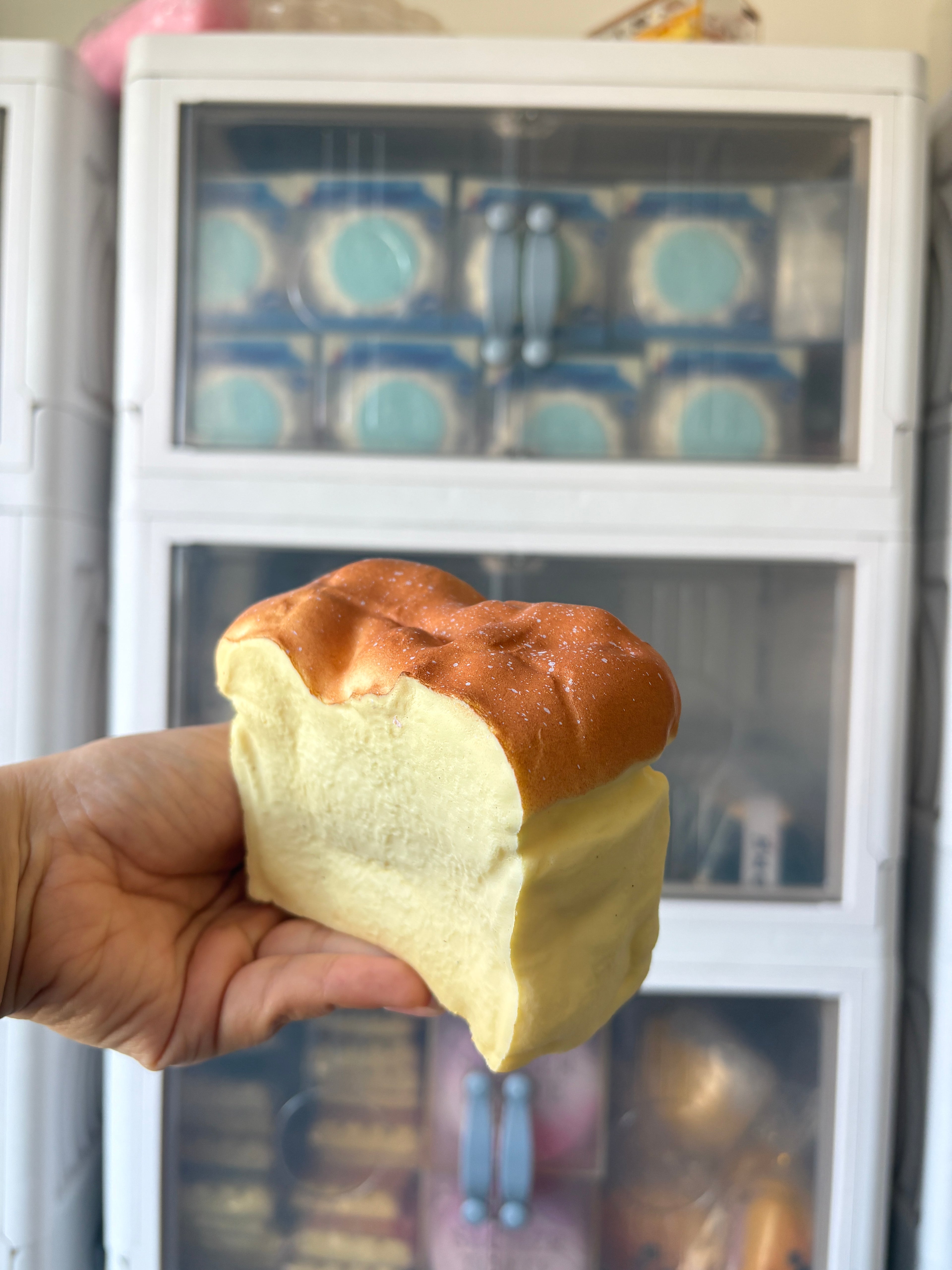 Custard Cake Squishy [Hachimi]