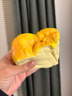 DEFECTIVE Custard Cake Squishy [Hachimi] (Wrinkles)