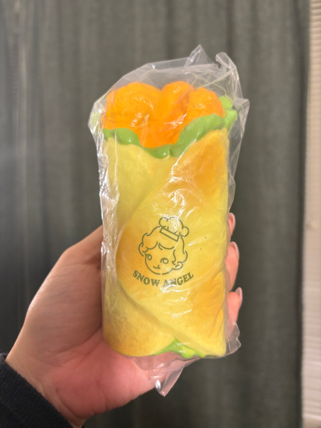 Classic Chicken Wrap Squishy [Lisa]