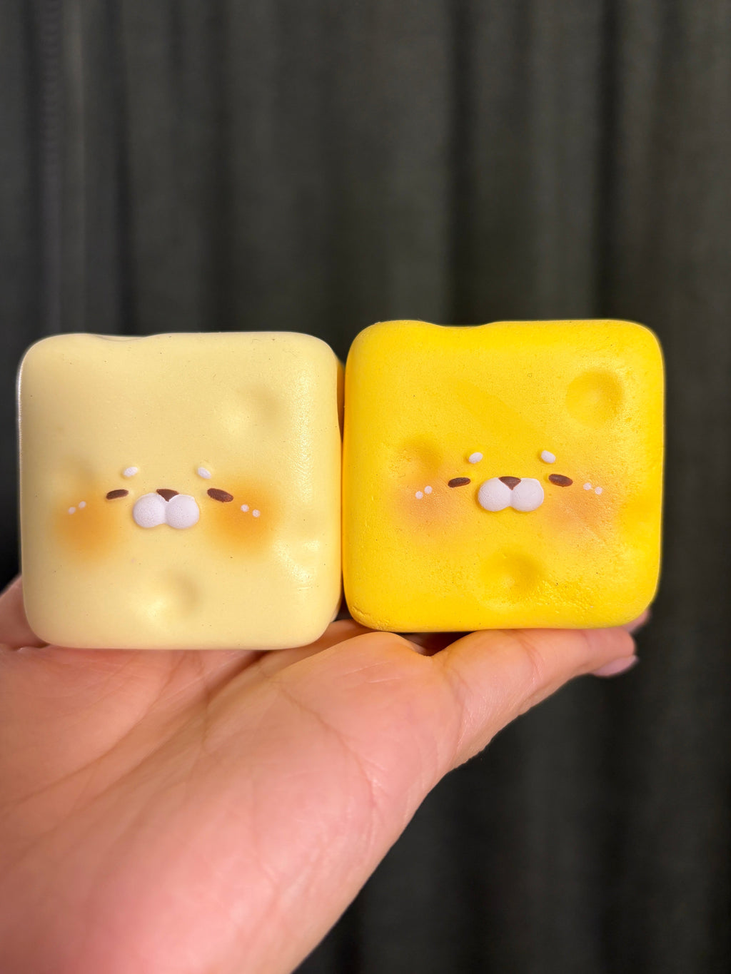 Cheese Seal Cube Squishy Set [ChaCha]