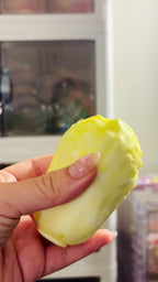 Cabbage Crunchy Squishy